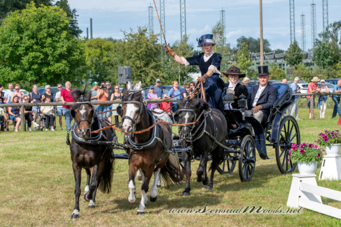 gk_20260830_1694-1_1800_wsgn