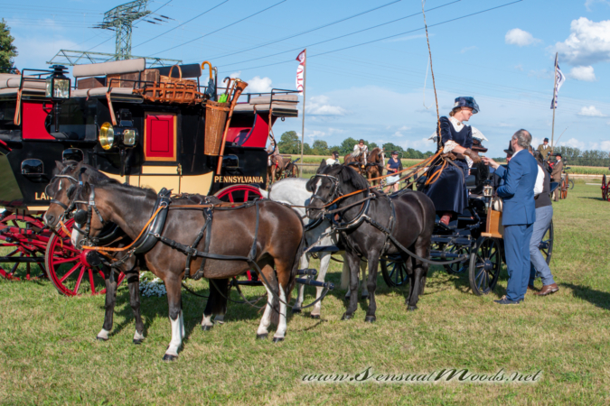 gk_20260830_2911-1_1800_wsgn