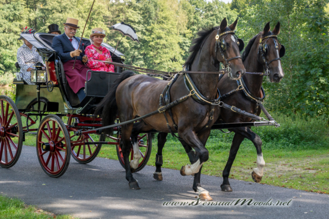gk_20260830_0652-1_1800_wsgn