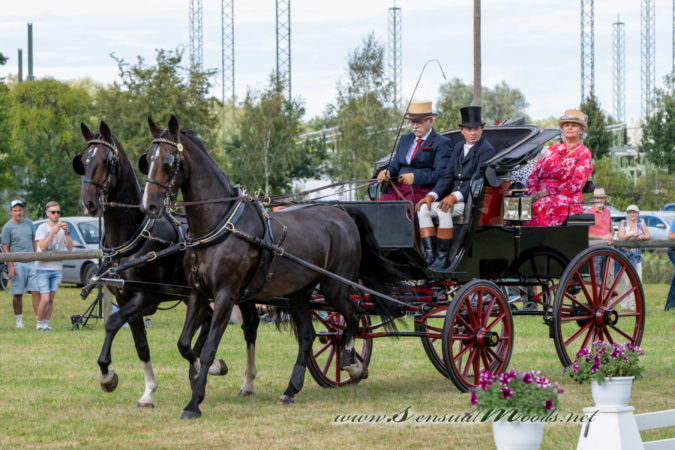 gk_20260830_1768-1_1800_wsgn
