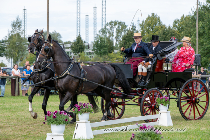gk_20260830_1810-1_1800_wsgn