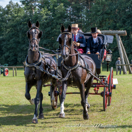 gk_20260830_1838-1_1800_wsgn