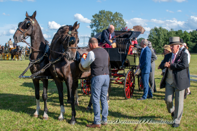 gk_20260830_2835-1_1800_wsgn