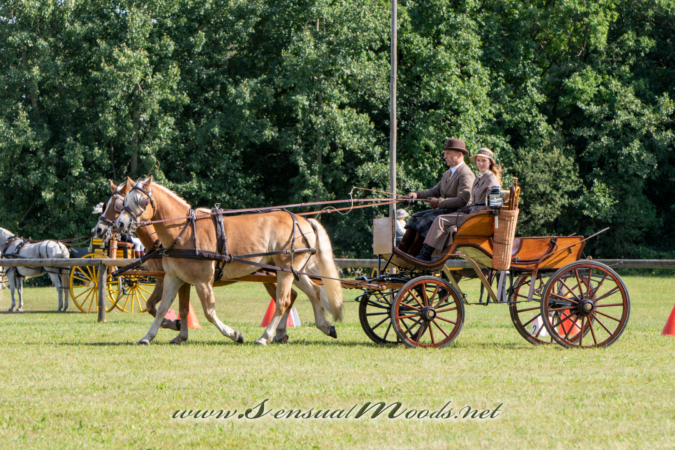 gk_20260830_1848-1_2160