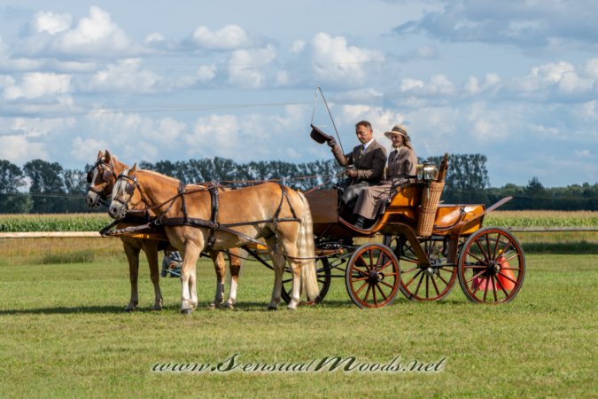 gk_20260830_1849-1_2160