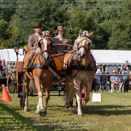gk_20260830_1884-1_2160