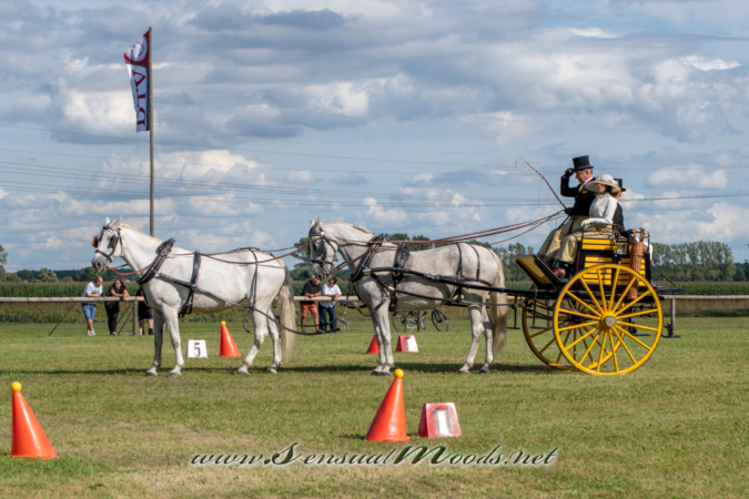 gk_20260830_2093-1_2160
