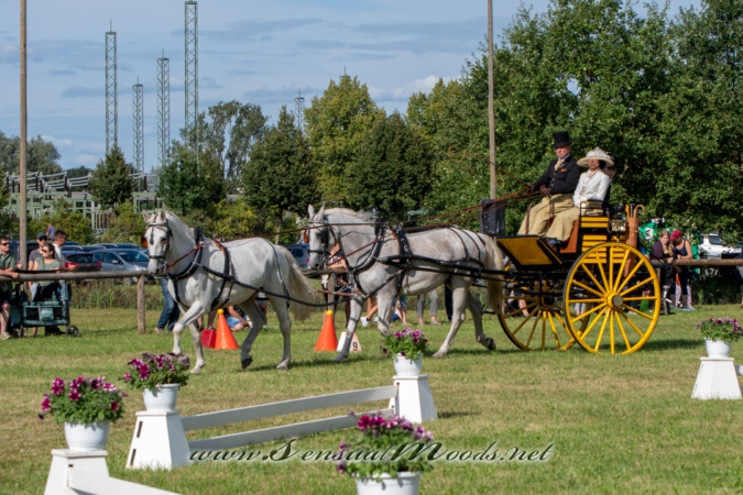 gk_20260830_2095-1_2160