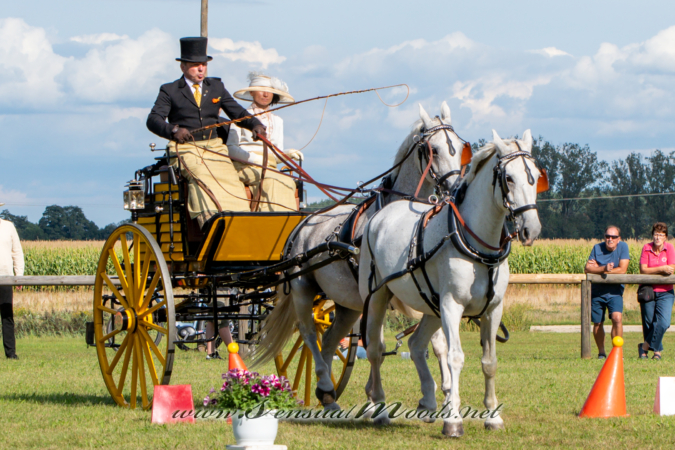 gk_20260830_2114-1_2160