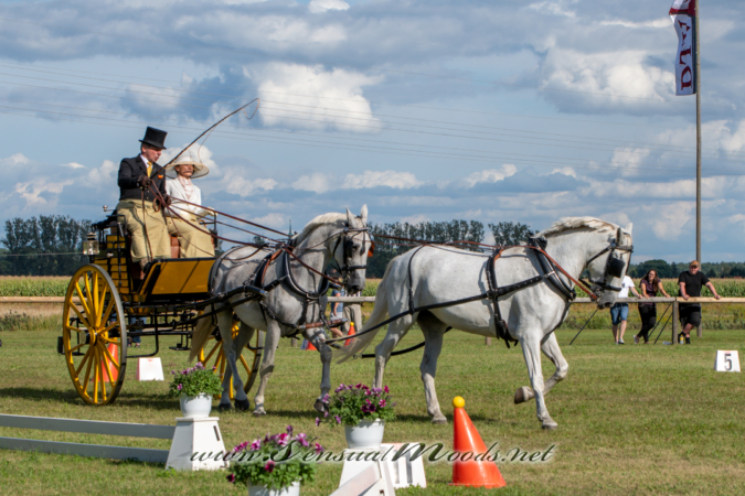 gk_20260830_2120-1_2160
