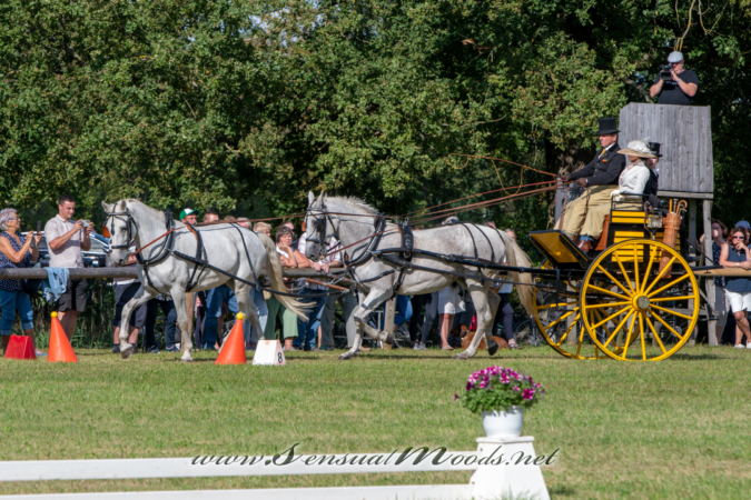 gk_20260830_2126-1_2160