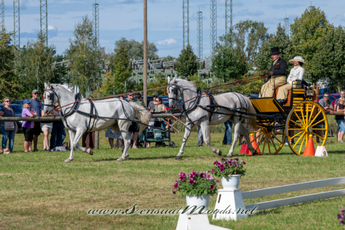 gk_20260830_2132-1_2160