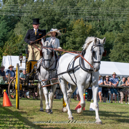 gk_20260830_2138-1_2160