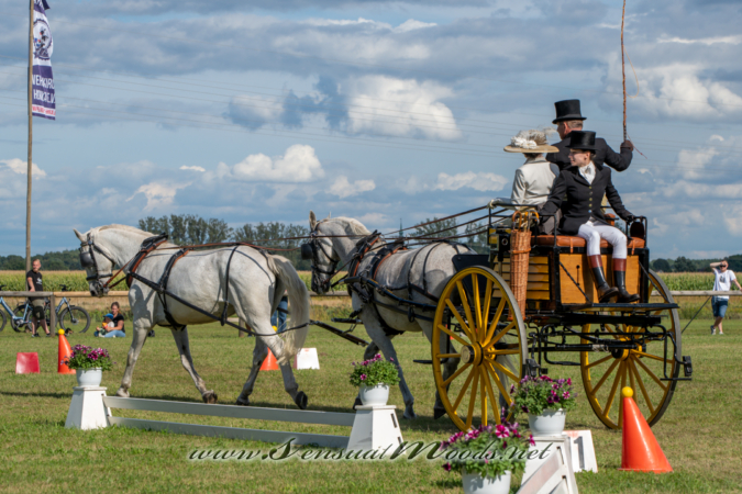 gk_20260830_2148-1_2160