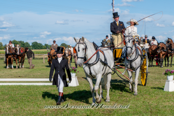 gk_20260830_2874-1_2160