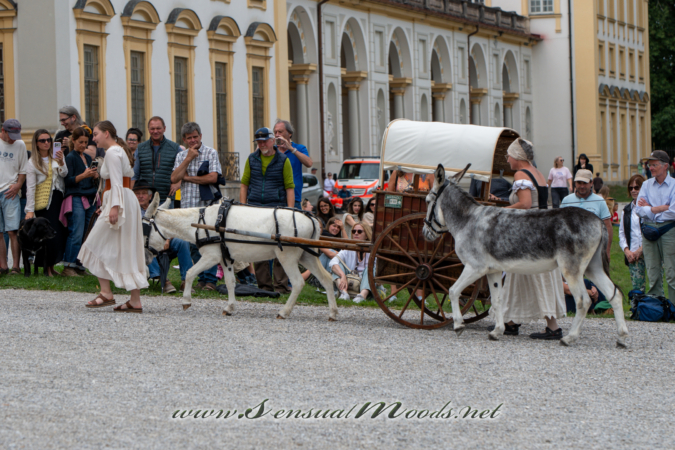 gk_20260913_0898-1_2160