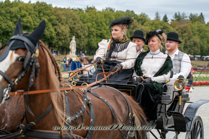 gk_20260913_0905-1_2160