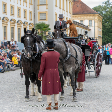 gk_20260913_1008-1_2160